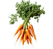 Load image into Gallery viewer, Carrot Nantes