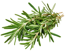 Load image into Gallery viewer, Rosemary