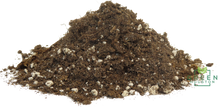 Load image into Gallery viewer, Organic Medical Grade Peat Moss - Propagation