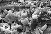 Load image into Gallery viewer, Diatomaceous Earth