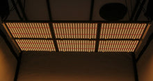 Load image into Gallery viewer, LED QUANTUM BOARD 600W