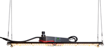 Load image into Gallery viewer, LED QUANTUM BOARD 240W
