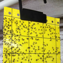 Load image into Gallery viewer, Insect Catcher - Sticky Trap