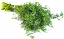 Load image into Gallery viewer, Dill