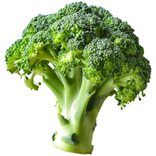 Load image into Gallery viewer, Broccoli
