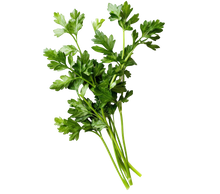 Load image into Gallery viewer, Common Chervil
