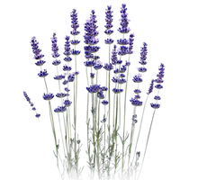 Load image into Gallery viewer, Lavender Blue Spear
