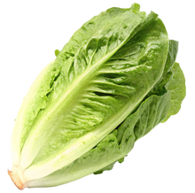 Load image into Gallery viewer, Little Gem Lettuce
