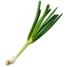 Load image into Gallery viewer, Spring Onion White Lisbon
