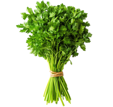 Load image into Gallery viewer, Parsley Plain Flat Leaf
