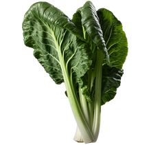 Load image into Gallery viewer, Spinach Swiss Chard Fordhook Giant
