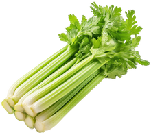 Load image into Gallery viewer, Tall Utah Celery
