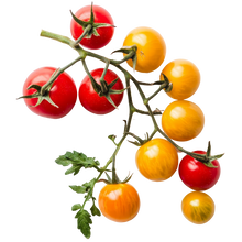 Load image into Gallery viewer, Tomato Artisan Bumble Bee
