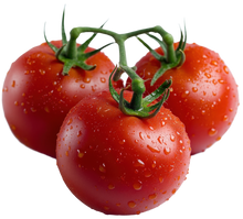 Load image into Gallery viewer, Tomato Moneymaker
