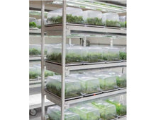 Load image into Gallery viewer, TLED Clone Grow Lights
