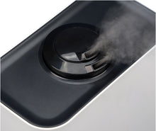 Load image into Gallery viewer, Deluxe 202 Humidifier &amp; Air Purifier
